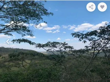 Farm & Agricultural Land