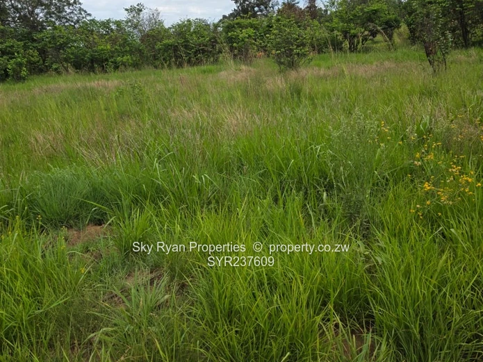 Mabelreign Stands For Sale