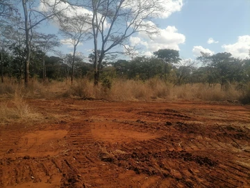 Farm & Agricultural Land