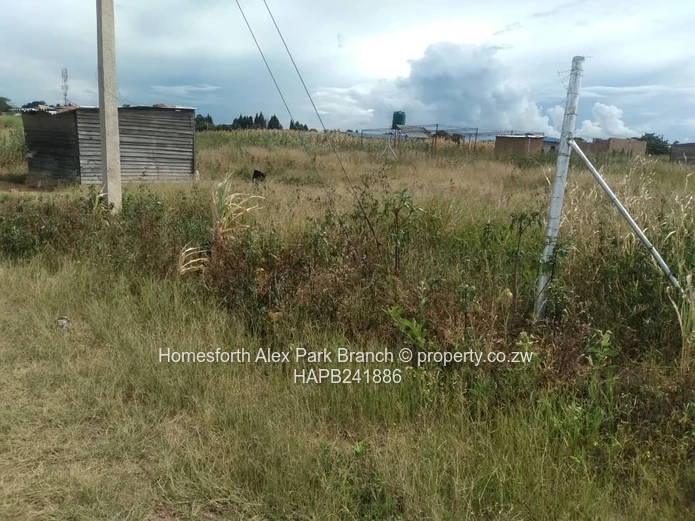 New Marimba Stand On Sale