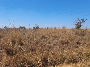 Farm & Agricultural Land