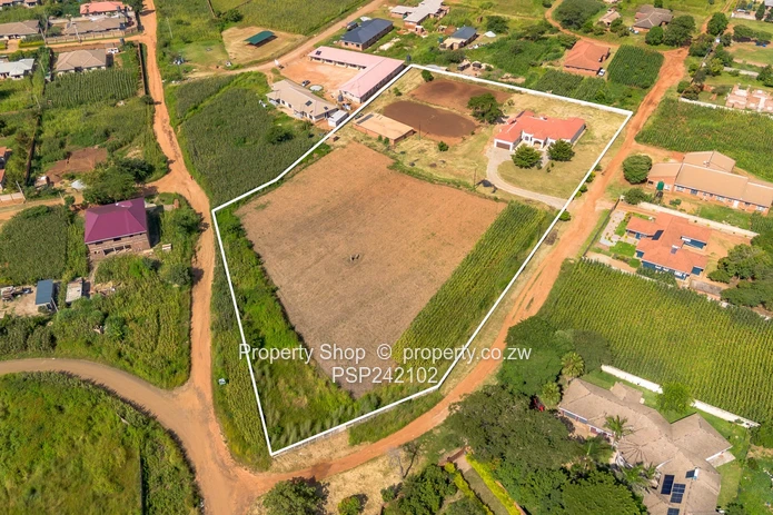 Endless Possibilities In Glaudina