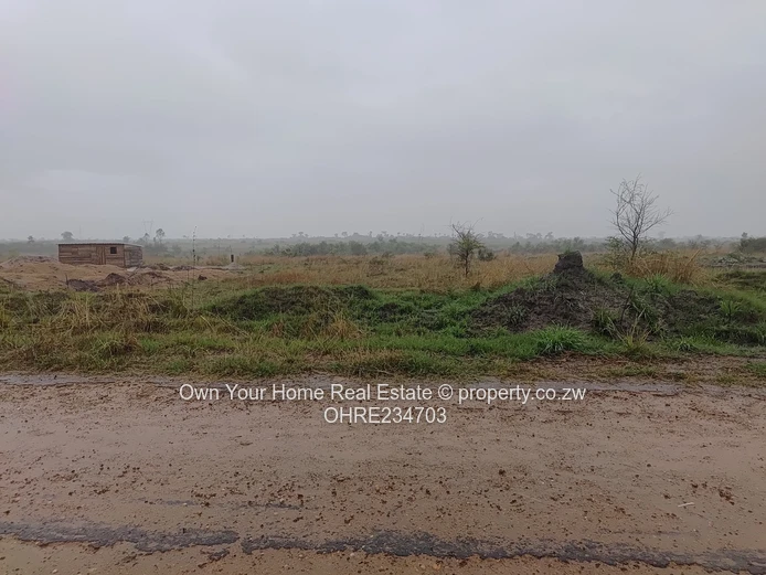 Huntersville stand for sale