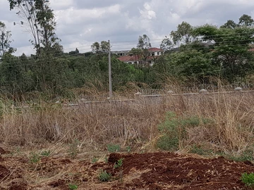 Stands & Residential Land