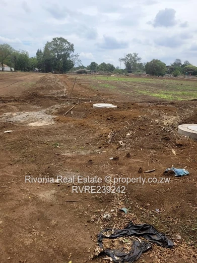 Old Marlborough 800- 1000sqm stands 