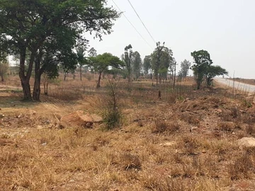 Commercial & Industrial Land