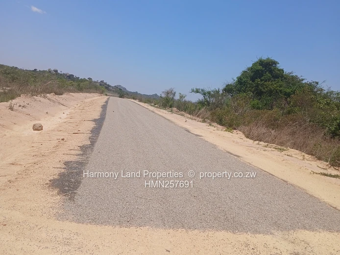 Executive Low Density Stands- Ridgemont Park, Rusape (Sole Mandate)