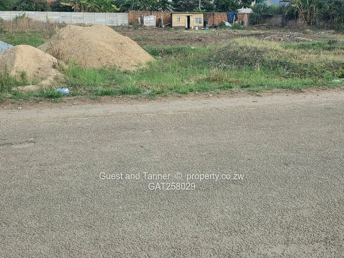 A Choice Of 2 Stands For Sale In Westgate