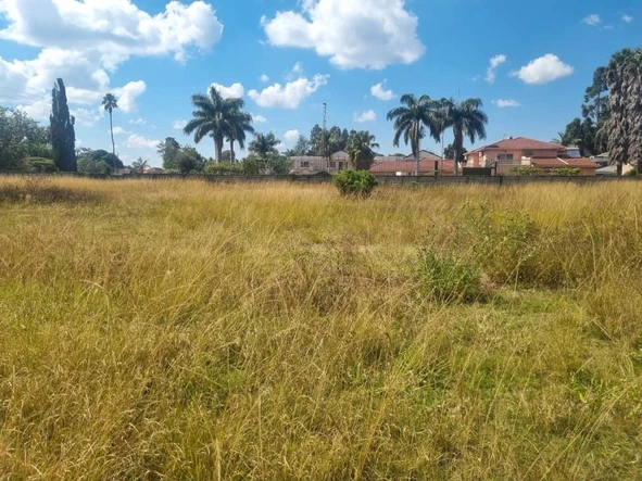 Stands & Residential Land