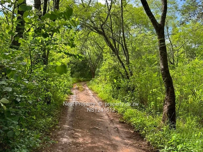 Prime Land for sale in Helensvale!