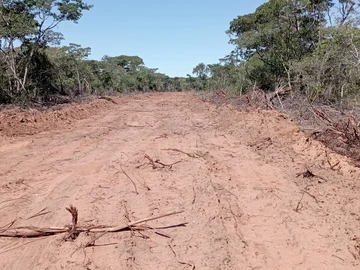 Farm & Agricultural Land