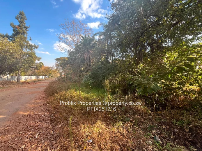 Prime Commercial Land For Sale In Avondale