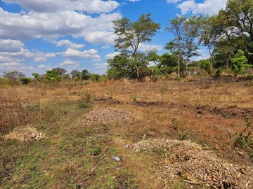 Stands & Residential Land