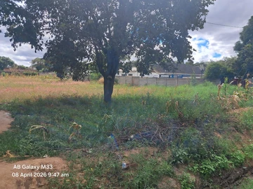 Stands & Residential Land