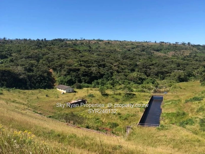 Bangazani Estate, Chipinge