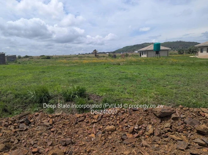 Haydon park stand for sale 