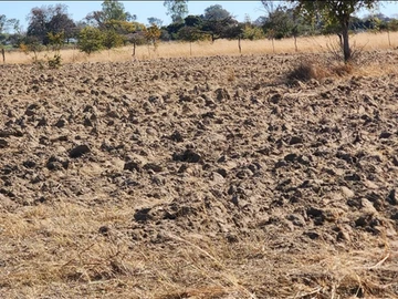 Farm & Agricultural Land