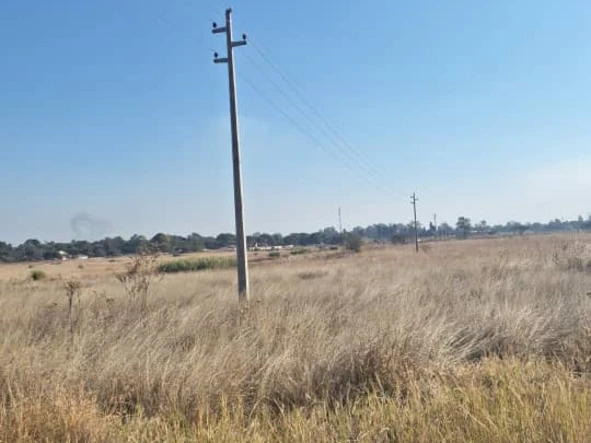 Stands & Residential Land