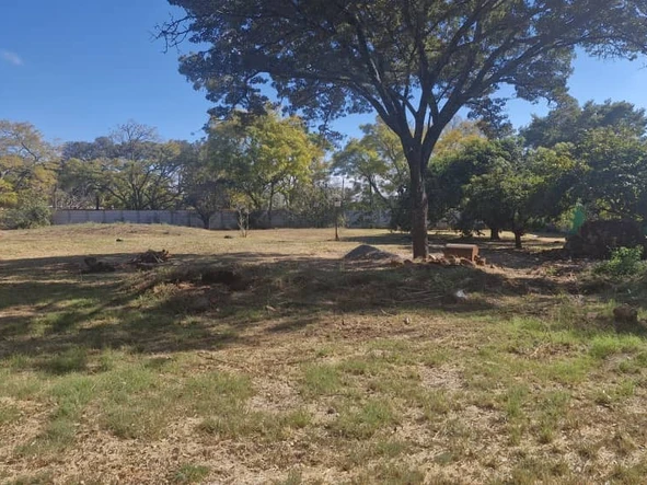 Stands & Residential Land