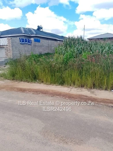 Adelaide Park Stands for Sale