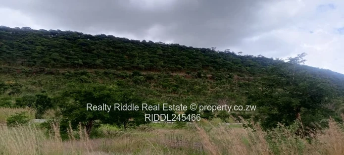 1.3ha Norton Hillside , Accessible