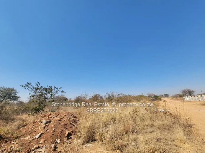 1 Acre Buena Vista Stand For Sale