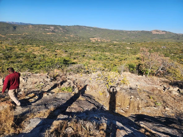 Farm & Agricultural Land