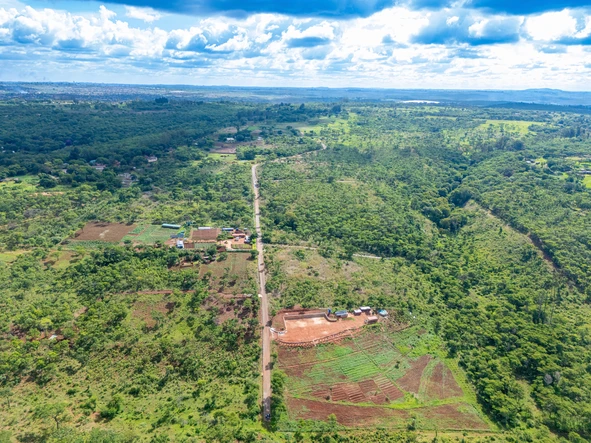 Farm & Agricultural Land