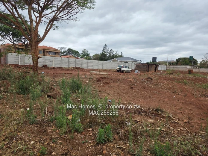 Ready to Build Stand for Sale
