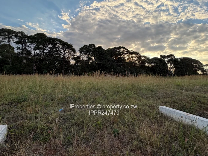 Prime 2000 sqm Vacant Stand for Sale in Pomona City – Perfect Location Next to Fairway!