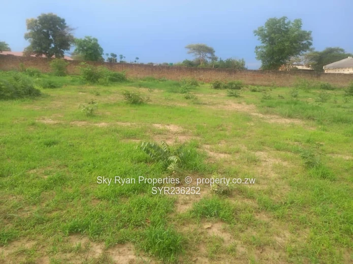 Chinhoyi Mapako Stand For Sale