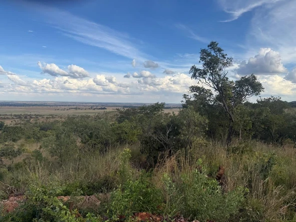 Farm & Agricultural Land