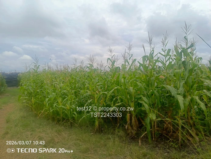 Westgate Sandton park stand for sale  (Sole Mandate)