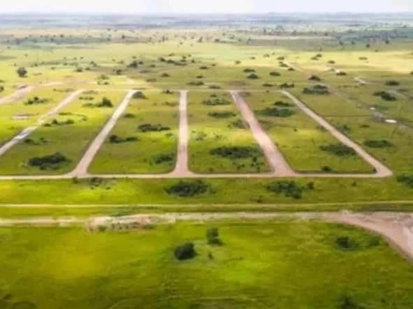 Stands & Residential Land