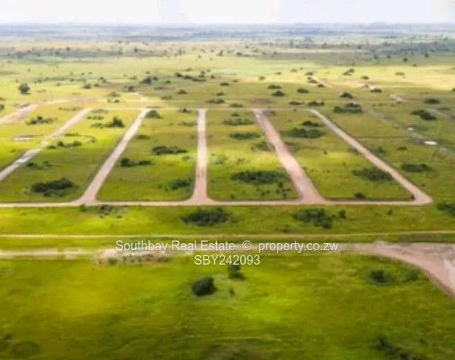 Investment Opportunity