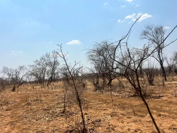 Farm & Agricultural Land