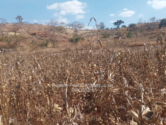Crowhill Views (Maredza Area) Stand – 1000m² 