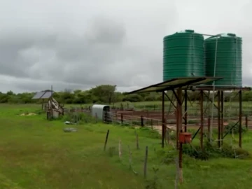 Farm & Agricultural Land