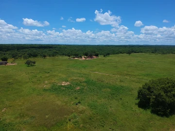 Farm & Agricultural Land