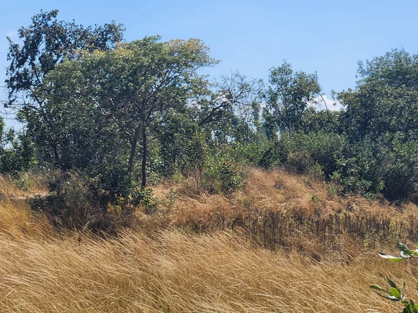 Farm & Agricultural Land