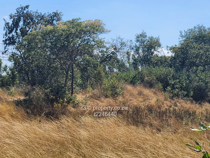  Darwendale Farm - 400 hectares 