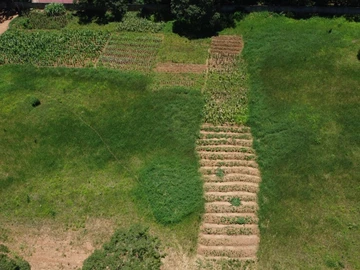 Stands & Residential Land