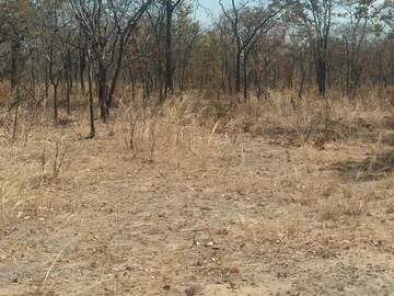 Farm & Agricultural Land