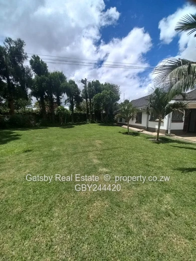 Available immediately 