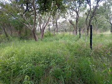 Farm & Agricultural Land