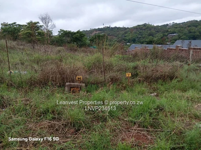 Stand For Sale In Borrowdale Helensvale 