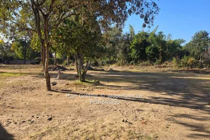 Treed 2800m² Prospect Stand — Subdivision Potential (Sole Mandate)