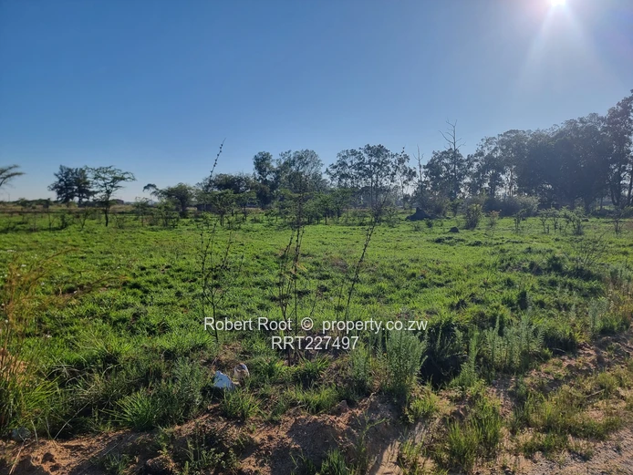 Exceptional Land Investment Opportunity In Gweru