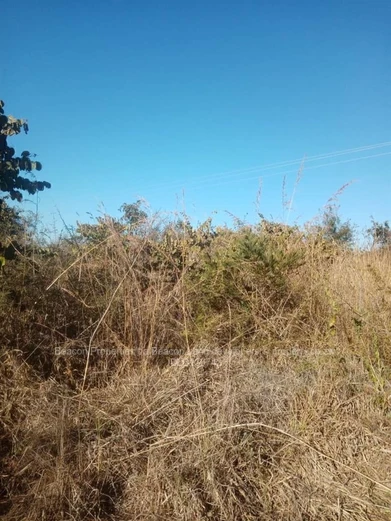 Chegutu Plots