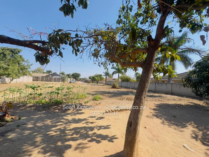 Generous Size Stand with 2-Bed Cottage, Zimre Park